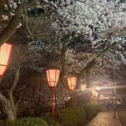 ヒメ日記 2025/04/09 21:48 投稿 綾瀬ゆの【VIP】 五感☆秘密倶楽部