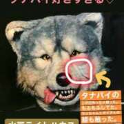 ヒメ日記 2025/02/21 06:43 投稿 まな 水戸人妻花壇