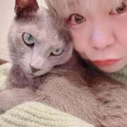 ヒメ日記 2025/03/06 17:26 投稿 まな 水戸人妻花壇