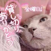 ヒメ日記 2025/03/09 22:07 投稿 まな 水戸人妻花壇