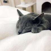 ヒメ日記 2025/03/12 10:02 投稿 まな 水戸人妻花壇