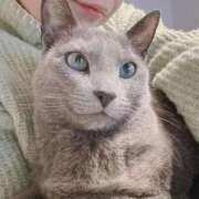 ヒメ日記 2025/03/16 07:49 投稿 まな 水戸人妻花壇