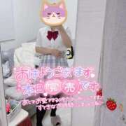 ヒメ日記 2025/03/23 06:01 投稿 まな 水戸人妻花壇