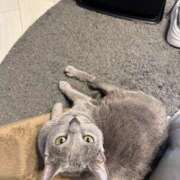 ヒメ日記 2025/03/24 06:33 投稿 まな 水戸人妻花壇