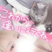 ヒメ日記 2025/03/29 14:24 投稿 まな 水戸人妻花壇