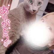 ヒメ日記 2025/03/29 20:30 投稿 まな 水戸人妻花壇