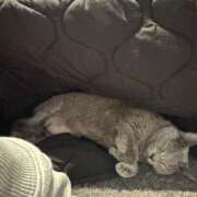 ヒメ日記 2025/04/02 12:19 投稿 まな 水戸人妻花壇