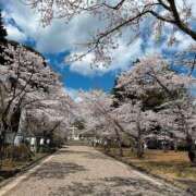 ヒメ日記 2025/04/12 08:14 投稿 まな 水戸人妻花壇