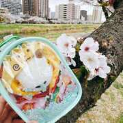 ヒメ日記 2025/04/13 09:30 投稿 まな 水戸人妻花壇