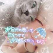 ヒメ日記 2025/05/10 07:33 投稿 まな 水戸人妻花壇