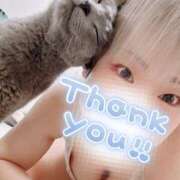 ヒメ日記 2025/05/10 17:12 投稿 まな 水戸人妻花壇