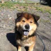 ヒメ日記 2025/05/13 06:45 投稿 まな 水戸人妻花壇