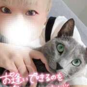 ヒメ日記 2025/05/17 14:58 投稿 まな 水戸人妻花壇