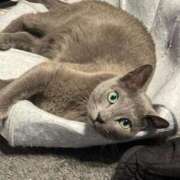 ヒメ日記 2025/06/05 06:07 投稿 まな 水戸人妻花壇