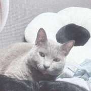 ヒメ日記 2025/06/08 09:18 投稿 まな 水戸人妻花壇