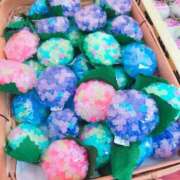 ヒメ日記 2025/06/10 12:18 投稿 まな 水戸人妻花壇