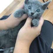 ヒメ日記 2025/06/12 05:56 投稿 まな 水戸人妻花壇