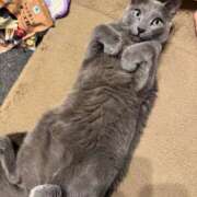 ヒメ日記 2025/06/20 06:02 投稿 まな 水戸人妻花壇