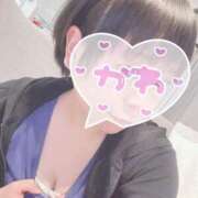 ヒメ日記 2025/07/01 07:30 投稿 まな 水戸人妻花壇