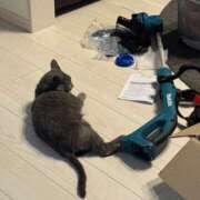 ヒメ日記 2025/07/22 20:18 投稿 まな 水戸人妻花壇