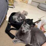 ヒメ日記 2025/08/01 08:30 投稿 まな 水戸人妻花壇