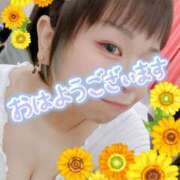 ヒメ日記 2025/08/14 05:51 投稿 まな 水戸人妻花壇