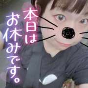 ヒメ日記 2025/08/24 05:52 投稿 まな 水戸人妻花壇