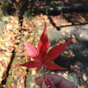 ヒメ日記 2025/09/08 18:24 投稿 まな 水戸人妻花壇