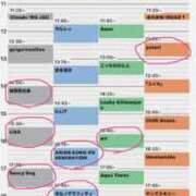 ヒメ日記 2025/09/14 10:08 投稿 まな 水戸人妻花壇