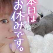 ヒメ日記 2025/10/12 08:48 投稿 まな 水戸人妻花壇