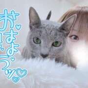 ヒメ日記 2025/11/04 06:58 投稿 まな 水戸人妻花壇