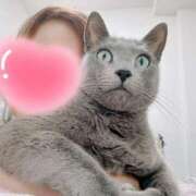 ヒメ日記 2025/11/12 11:01 投稿 まな 水戸人妻花壇