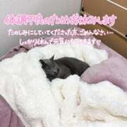 ヒメ日記 2025/11/15 07:58 投稿 まな 水戸人妻花壇