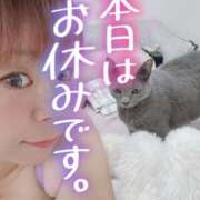 ヒメ日記 2025/11/23 06:51 投稿 まな 水戸人妻花壇