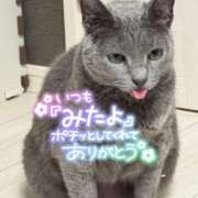 ヒメ日記 2025/11/28 08:29 投稿 まな 水戸人妻花壇