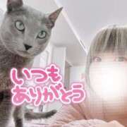 ヒメ日記 2025/12/05 20:27 投稿 まな 水戸人妻花壇