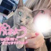 ヒメ日記 2026/02/21 13:37 投稿 まな 水戸人妻花壇