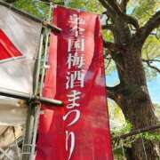 ヒメ日記 2026/03/15 22:42 投稿 まな 水戸人妻花壇