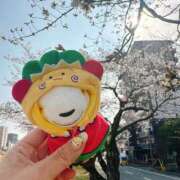 ヒメ日記 2026/03/29 11:33 投稿 まな 水戸人妻花壇