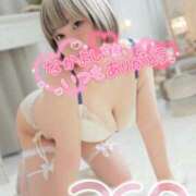 ヒメ日記 2026/03/29 13:23 投稿 まな 水戸人妻花壇