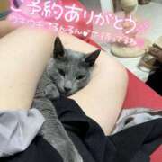 ヒメ日記 2026/03/29 23:32 投稿 まな 水戸人妻花壇