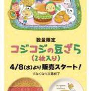 ヒメ日記 2026/04/07 11:39 投稿 まな 水戸人妻花壇