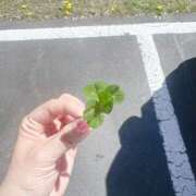 ヒメ日記 2026/04/14 20:56 投稿 まな 水戸人妻花壇