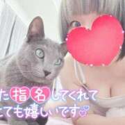 ヒメ日記 2026/06/17 19:02 投稿 まな 水戸人妻花壇