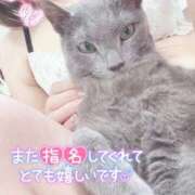 ヒメ日記 2026/09/04 16:01 投稿 まな 水戸人妻花壇