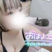 ヒメ日記 2026/09/29 09:27 投稿 まな 水戸人妻花壇
