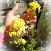 ヒメ日記 2025/02/19 01:59 投稿 柏木凛花 プレジデントハウス