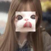 ヒメ日記 2025/05/19 21:14 投稿 星井 せいな アリス女学院 日本橋校