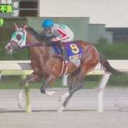 ヒメ日記 2025/06/11 20:49 投稿 ねね sweet kiss