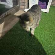 ヒメ日記 2025/06/27 01:39 投稿 ねね sweet kiss